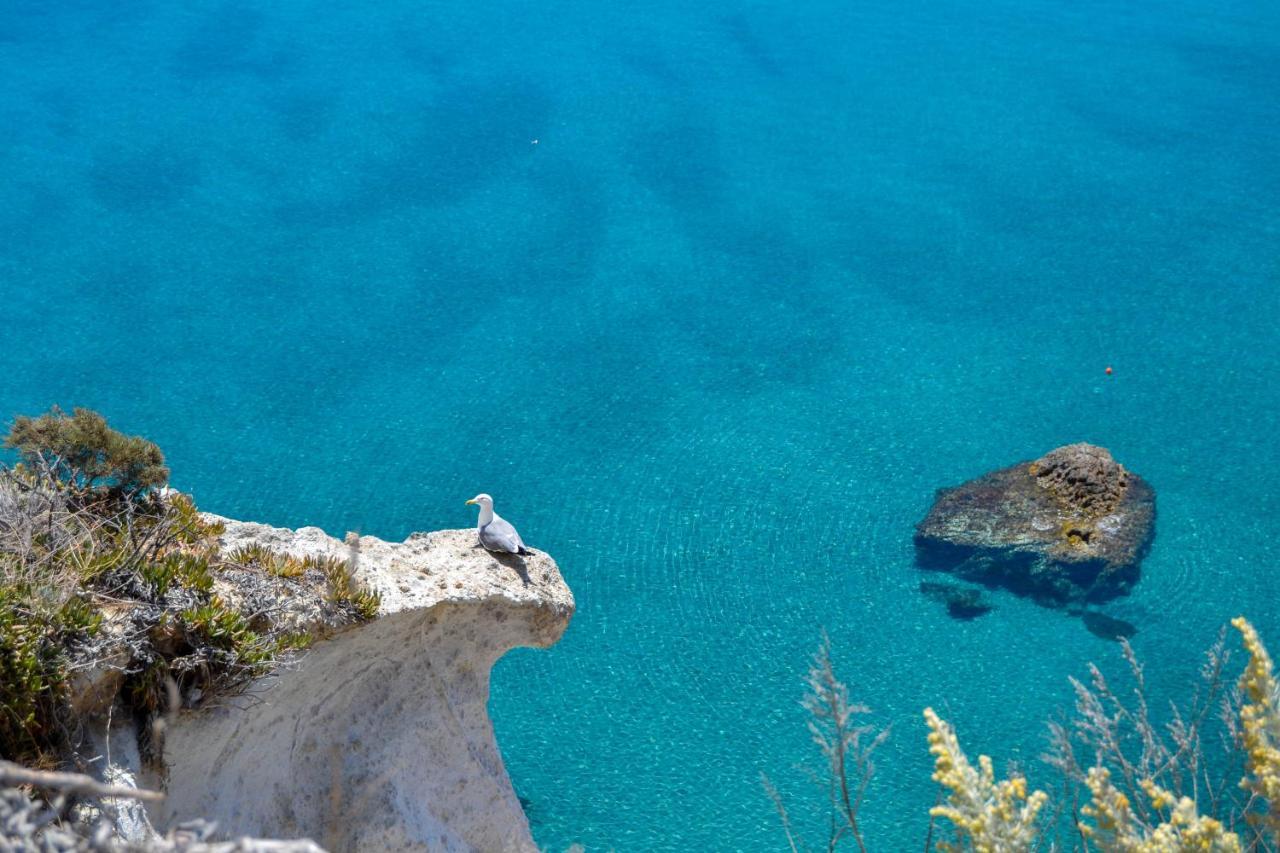 Maridea - Cave Suites Ponza Eksteriør bilde